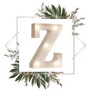 Z | White standing Z letter led light